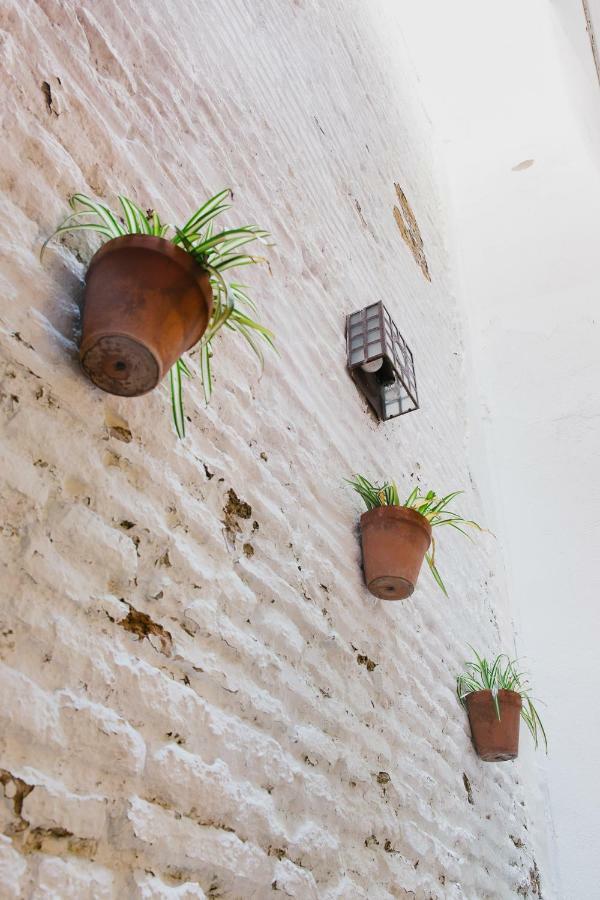 Apartamento La Accesoria Del Arenal Sevilla Exterior foto